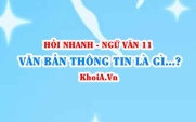 Văn bản thông tin là gì? Các yếu tố hình thức trong văn bản...